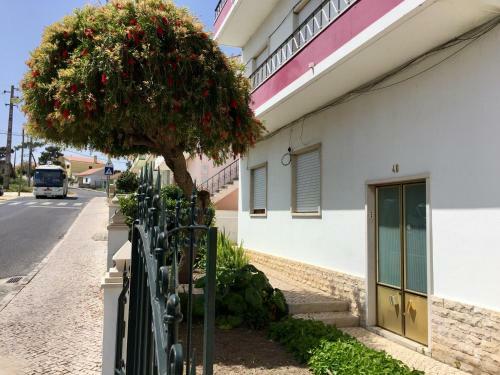 Apartamento Lines Of Wellignton