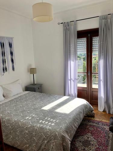 Apartamento Lines Of Wellignton