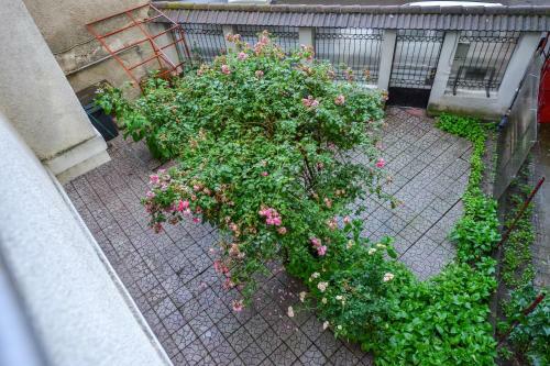 Apartamento Ideal Accommodation City Center