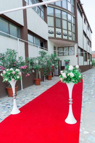 Hostal Pensiunea Ioji