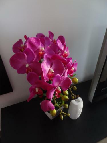Apartamento Felicia Resort