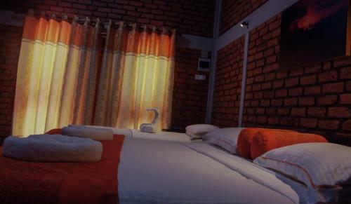 Hotel Viverra