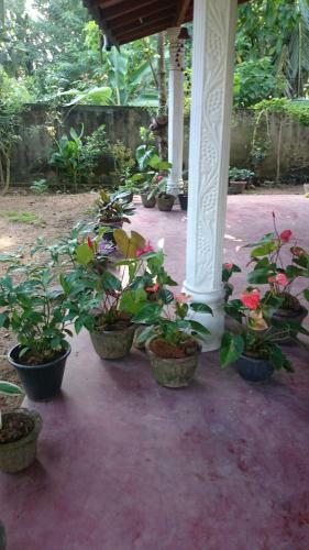 Bed & Breakfast Kavirose Holiday Home