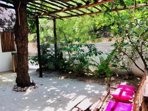 Hostal Zanzistar Guesthouse & Restaurant