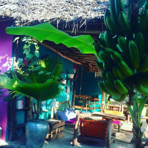 Hostal Zanzistar Guesthouse & Restaurant