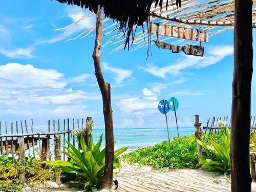 Hostal Zanzistar Guesthouse & Restaurant