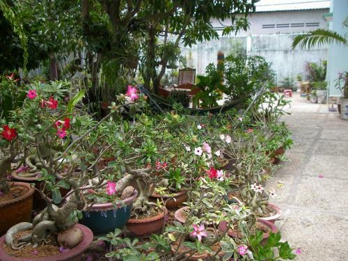 Hostal Chambres D'hotes Mekong-logis