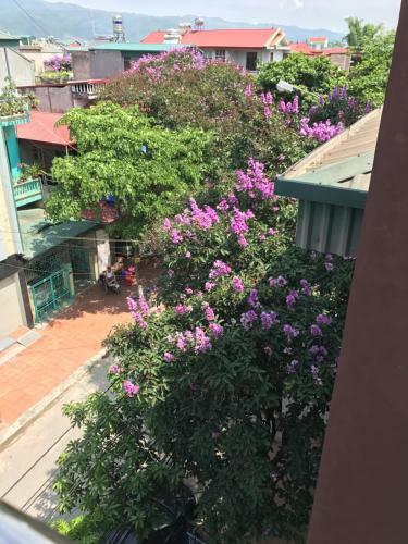 Hostal Tuan Minh Guest House
