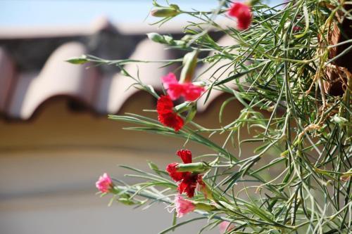 Bed & Breakfast Villa Orion