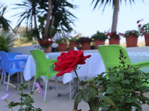 Apartamentos Villa Erdeti