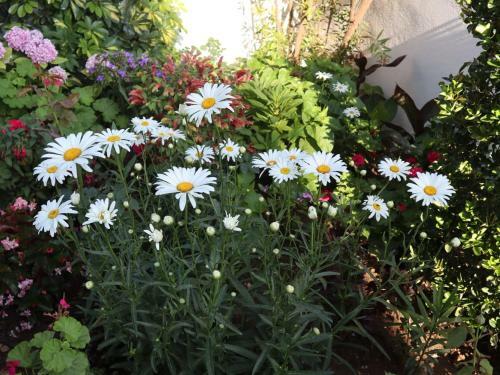 Apartamentos Villa Erdeti