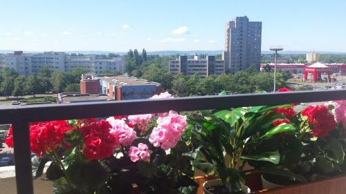 Apartment City Laatzen