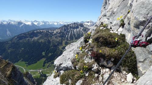 Apartamentos Fw Weissensee