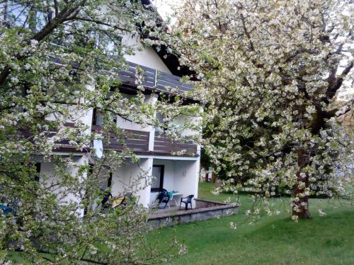 Hotel-pension "zum Ochsenkopf"