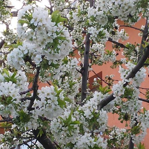 Apartamentos Wellness-ferienhof Am Rebgarten