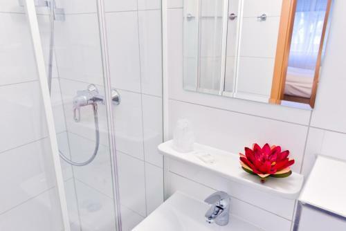 Hostal Pension Alt-finthen