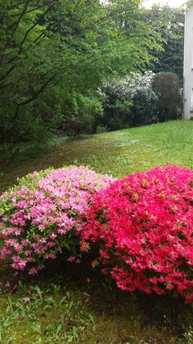 Apartamento At The Turgenev Villa