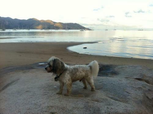 Apartamentos Ideal Beach Location 2 Bedroom 2 Bathroom