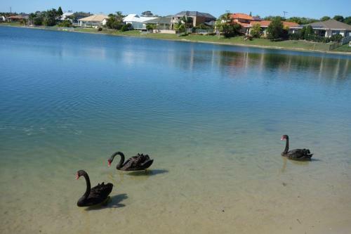 Broadbeach Waterfront Holiday House