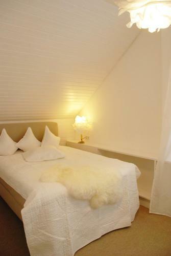 Bed & Breakfast Sweet Clementine B & B