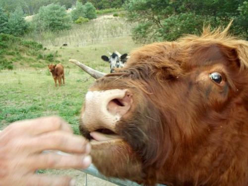 Agroturismo Eden Orchard & Farmstay