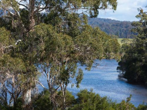 Hotel Gipsy Point Lodge & Cottages