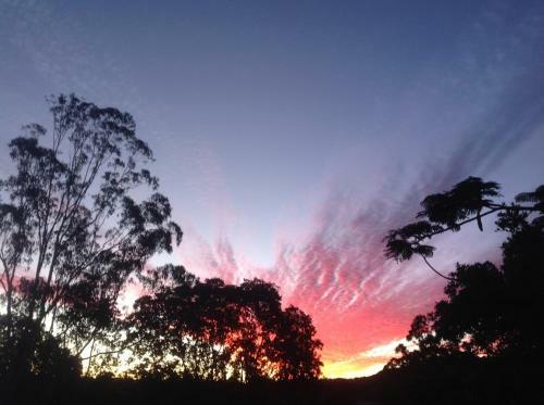Eumundi Guesthouse And B&B