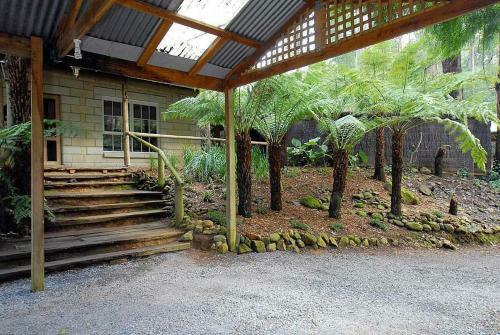Villa Fernglen Forest Retreat