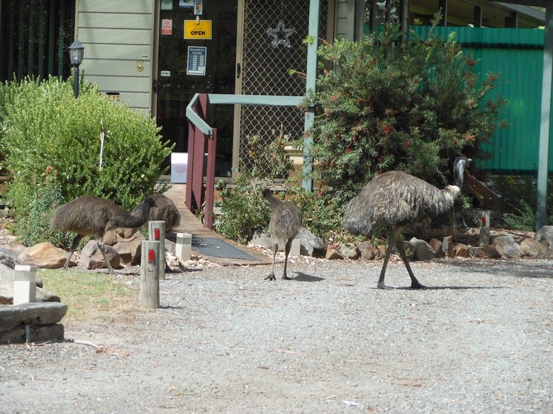 Hotel Grampians View Cottages And Units