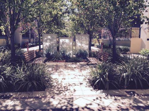 Arcus City Apartment