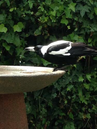 Hostal Yelki By The Sea B&B