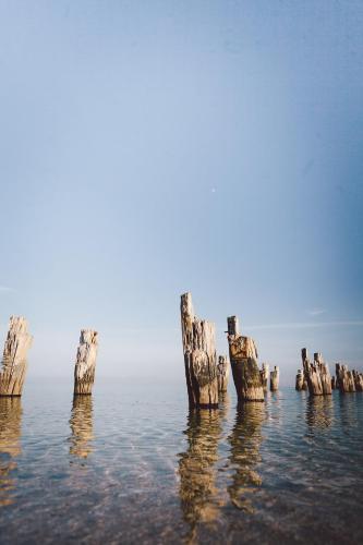 Abaleen House