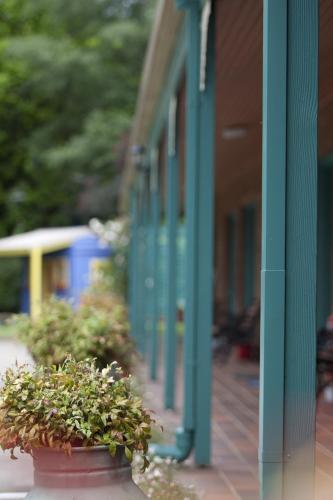 Snowgum Motel