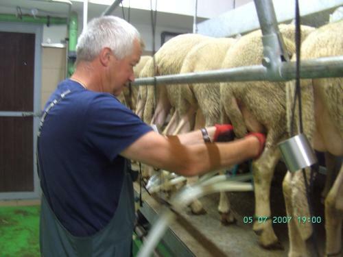 Agroturismo Weberhof Nussbaumer