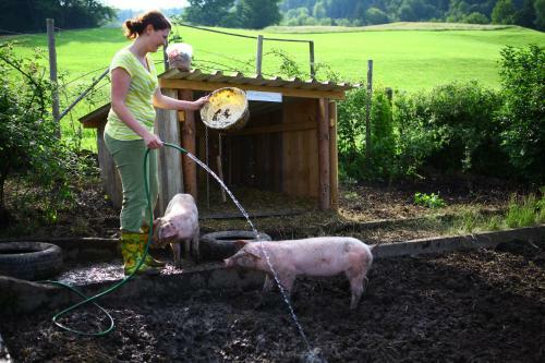 Agroturismo Weberhof Nussbaumer