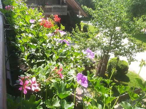 Apartamento Ferienhof Grubinger
