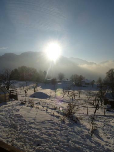 Apartamento Ferienhof Grubinger