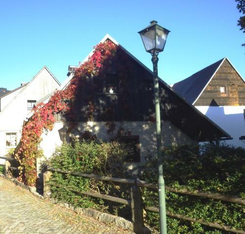 Berghaus Frieda