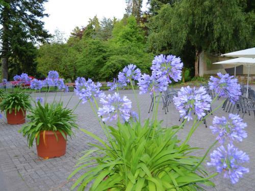 Holiday Home Am Ferienbauernhof IV
