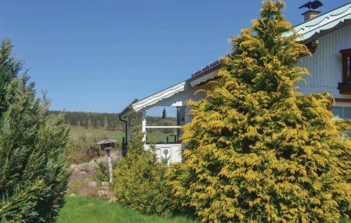 Two-bedroom Holiday Home In Braunlage