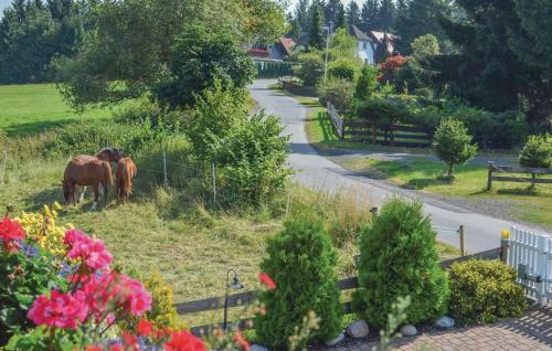 Two-bedroom Holiday Home In Braunlage