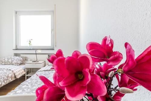 Apartments Bruchk�bel