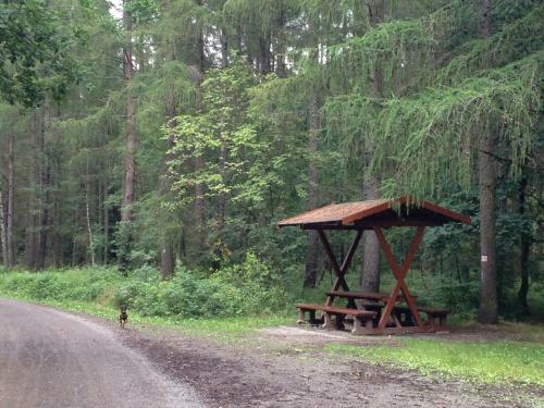 Apartamento Fewo Am Zwinger 2