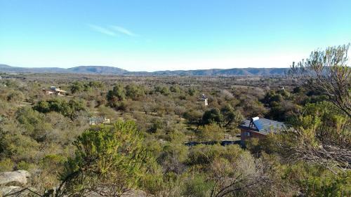 Campo De Los Zorros