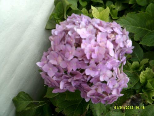 Apartamento Las 4 Estrellas Rojas