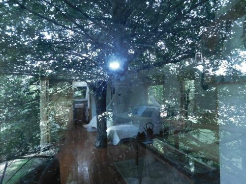 Apartamento La Casa Del Arbol