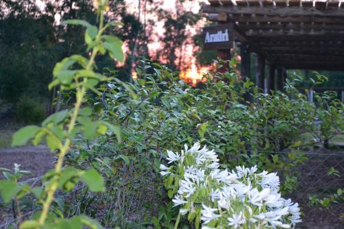 Posada Aratiri Caba�as, Un Lugar En El Bosque..