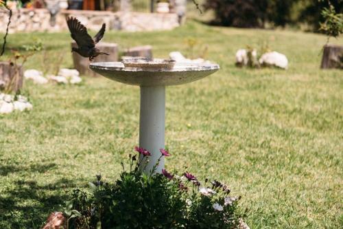 Apartamento Cerro Molinos