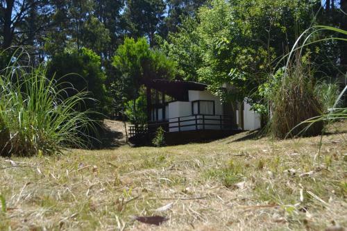 Las Cortaderas