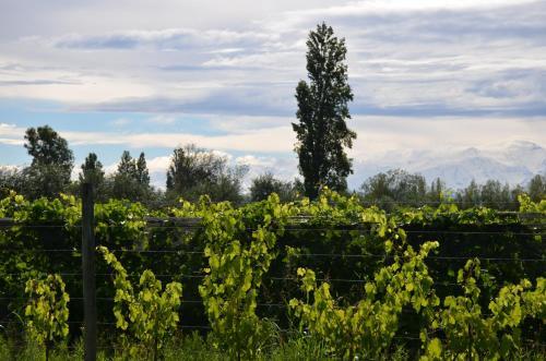 Apartamento Finca Fisterra